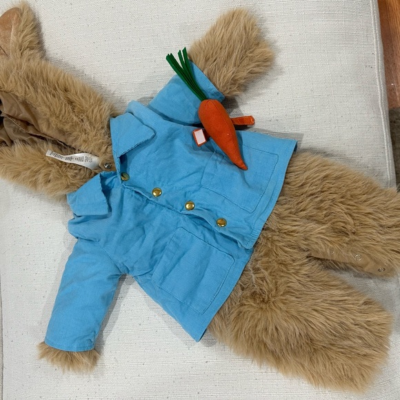 Peter Rabbit costume - Picture 1 of 7